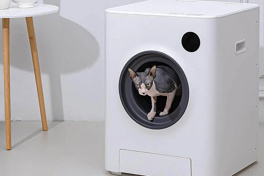best auto cat box