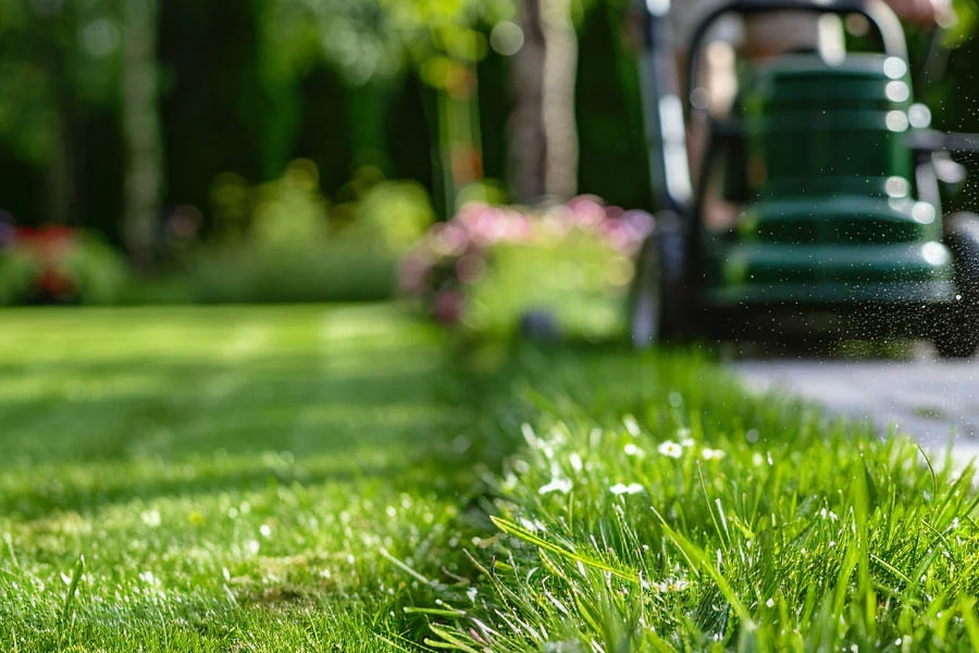 best cordless battery lawnmower